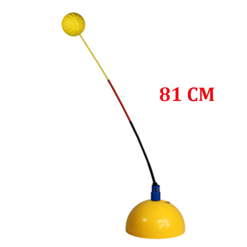 Professioneller Tennistrainer, – Home Gym Pro Bewertung und Preis