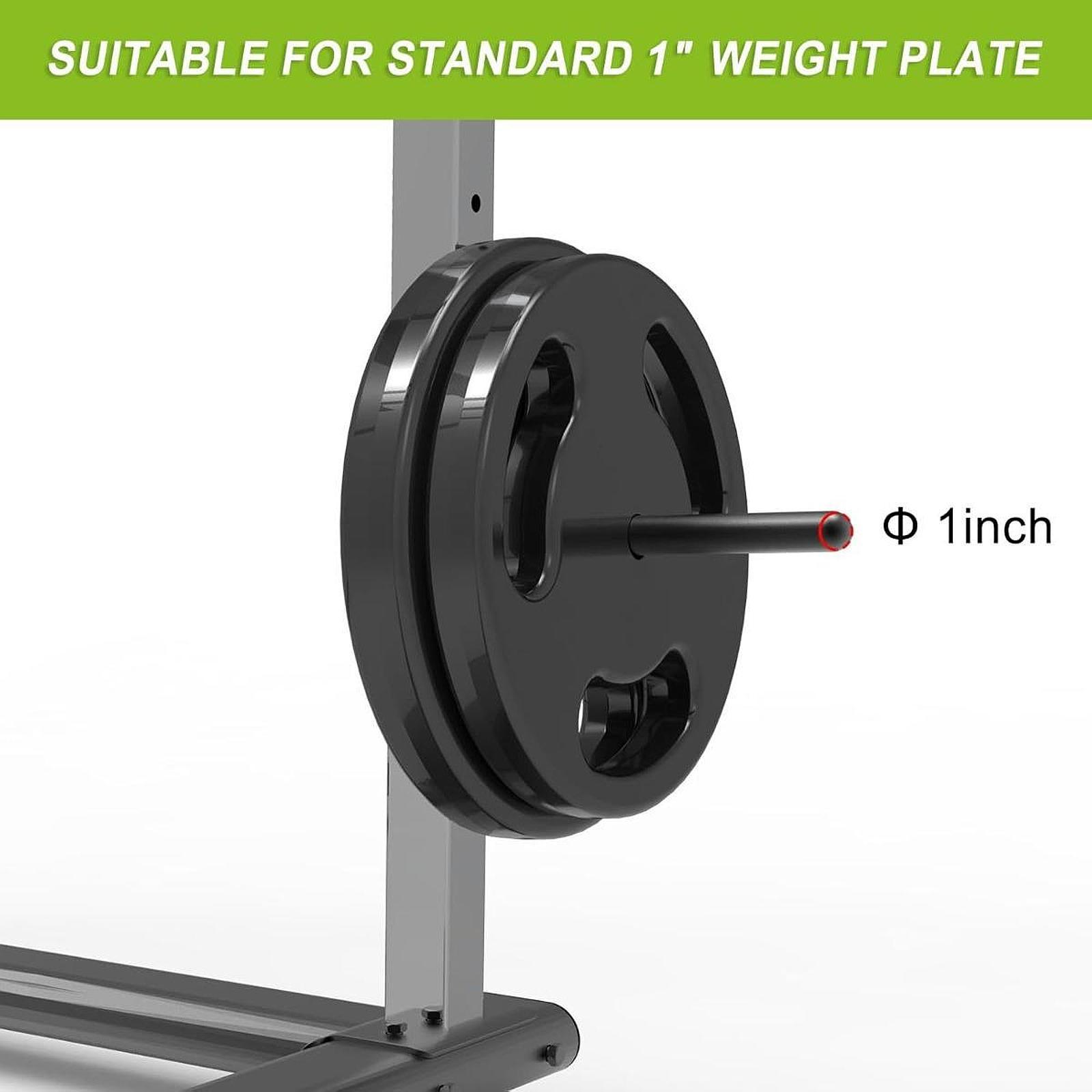 Platzsparender Hantelscheibenh – Home Gym Organization Bewertung und Preis